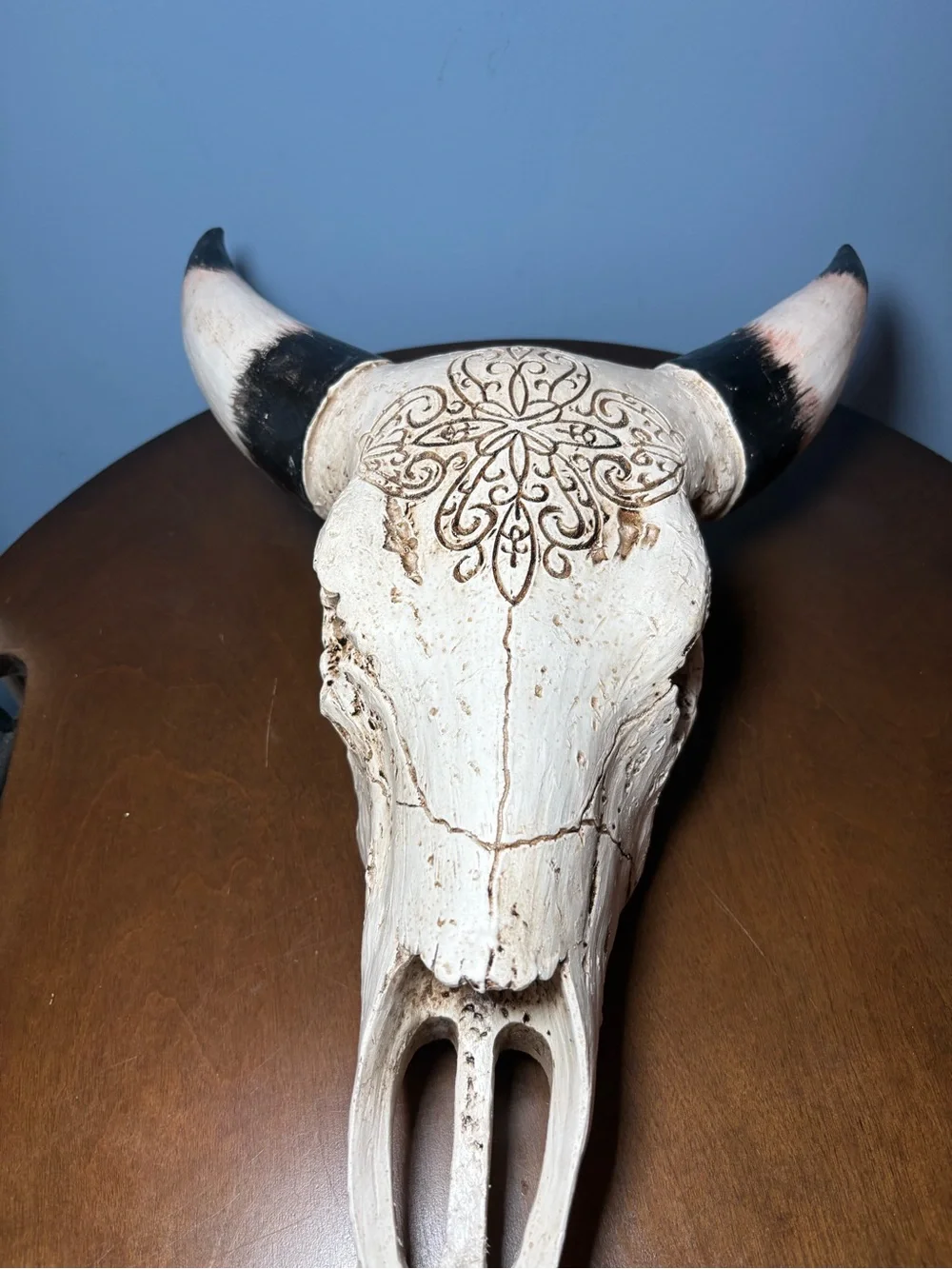 Decorative White Bull Skull Wall Accent with Black-Tipped Horns